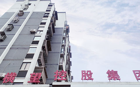 献策“十四五”规划编制，助力横望集团高质量发展