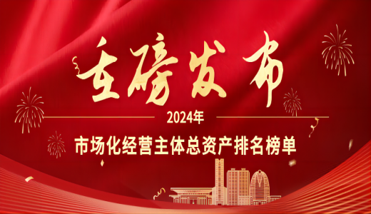 重磅丨城投市场化业务经营启示录：2024年市场化经营主体总资产排名榜单
