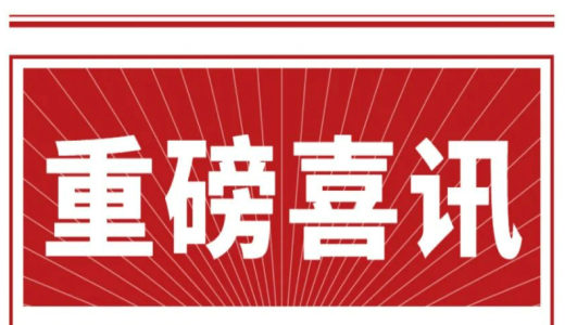 喜讯丨城望集团总经理王广庆先生再次获聘临邑县政府投融资体制改革咨询服务顾问！