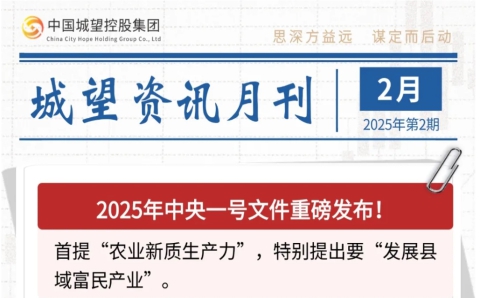 城望资讯2月刊丨中央一号文件重磅发布！全国首单数据资产作价入股落地？
