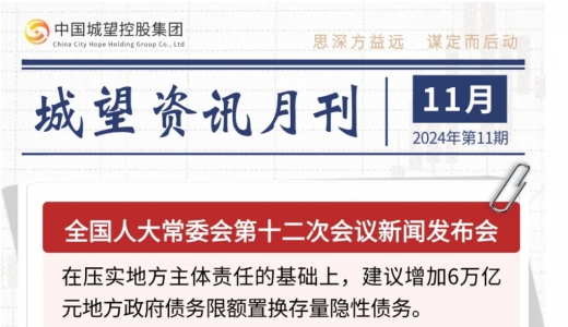 城望资讯11月刊丨地方化债开新局；“低空经济30年特许经营权”成功转出；“置换存量隐性债务” 再融资专项债