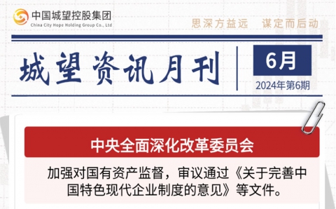 城望资讯6月刊丨城投市场化业务经营启示录