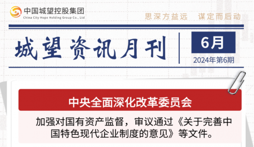 城望资讯6月刊丨城投市场化业务经营启示录