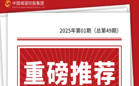 重磅推荐丨城望内参：“十五五”规划编制全景指南