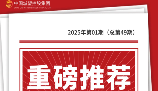 重磅推荐丨城望内参：“十五五”规划编制全景指南