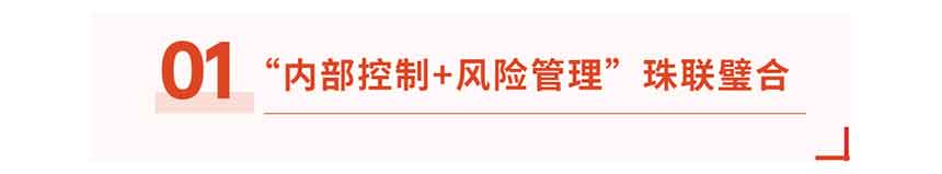 国企内控管理标题