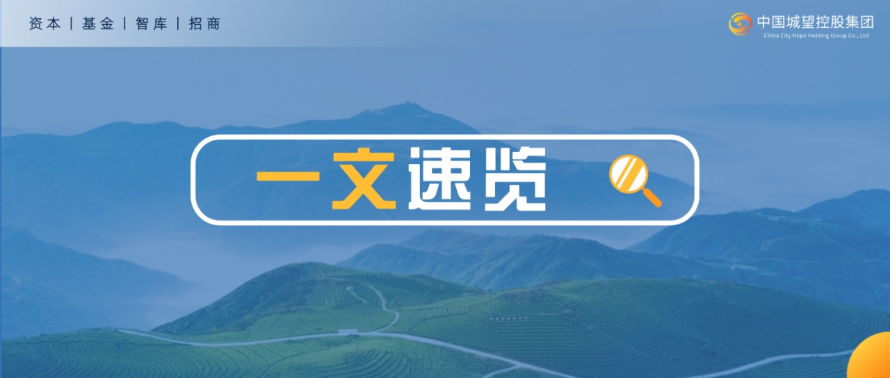 一文速览