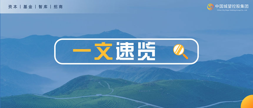 一文速览